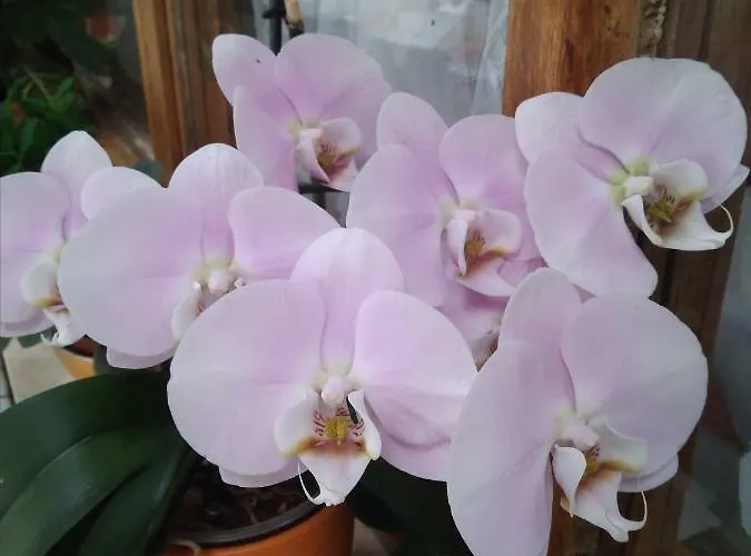 Gostisce Oddih Gasthof *